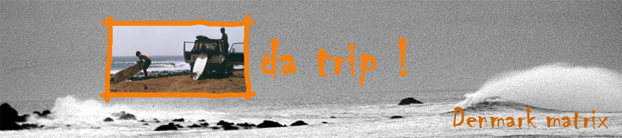 Denmark matrix