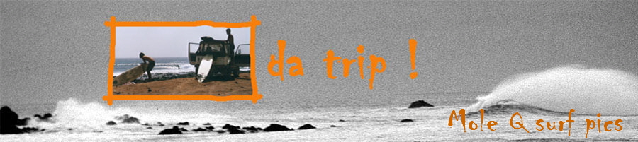 Mole Q surf pics