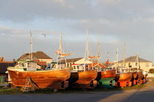 Borshavn-10-023