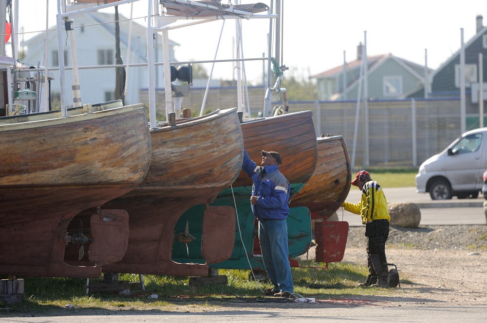 Borshavn-10-026