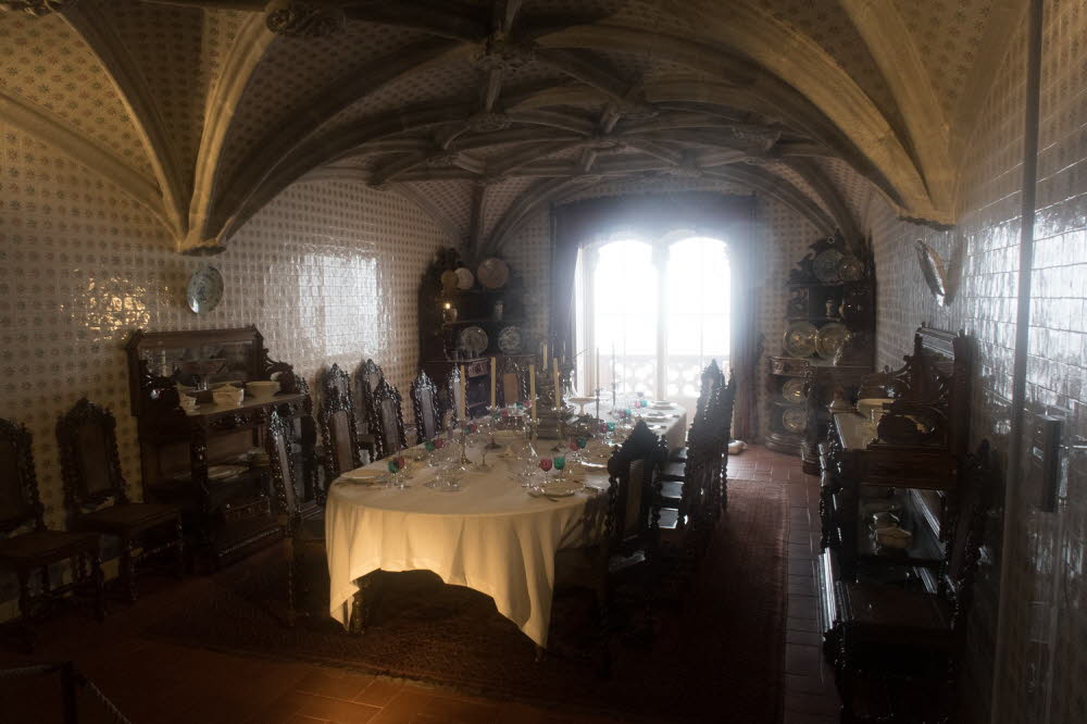 Castelo-da-Pena-18-5496_5