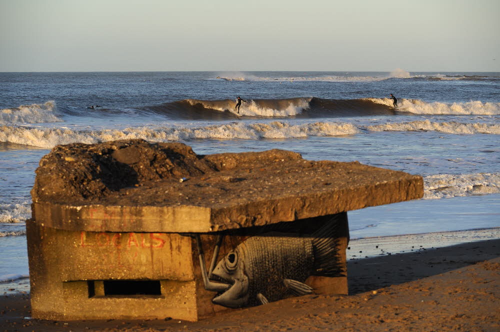 Cayton-Bay-13-7577_8