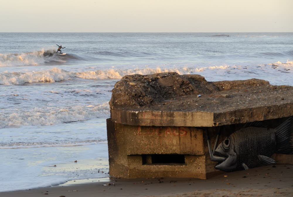 Cayton-Bay-13-7587_17