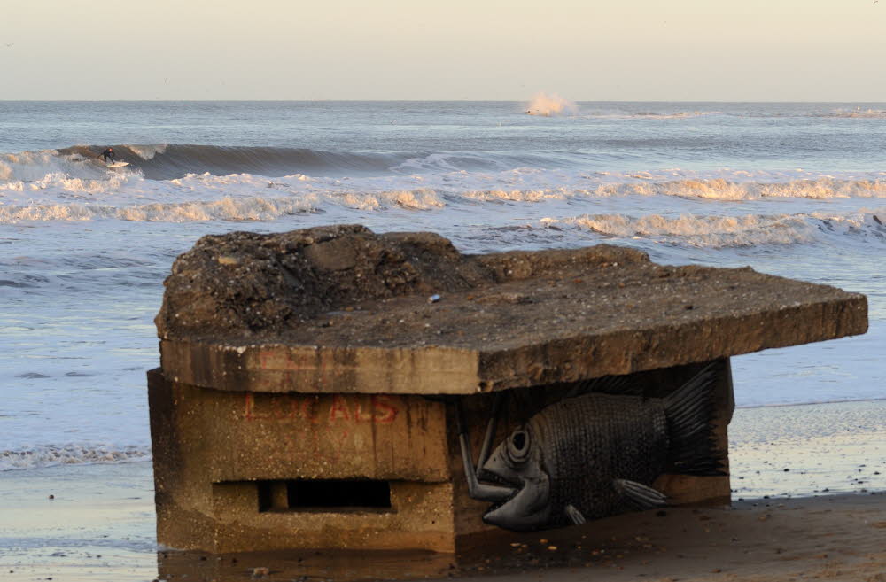 Cayton-Bay-13-7591_19