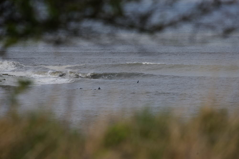 Cayton-Bay-17-0838_15