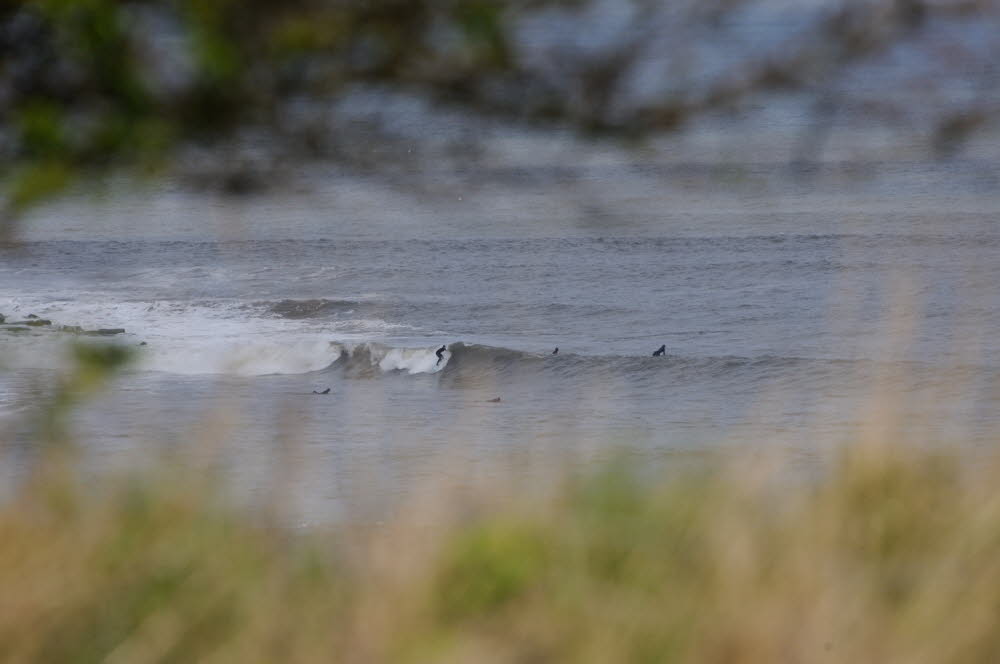 Cayton-Bay-17-0840_17