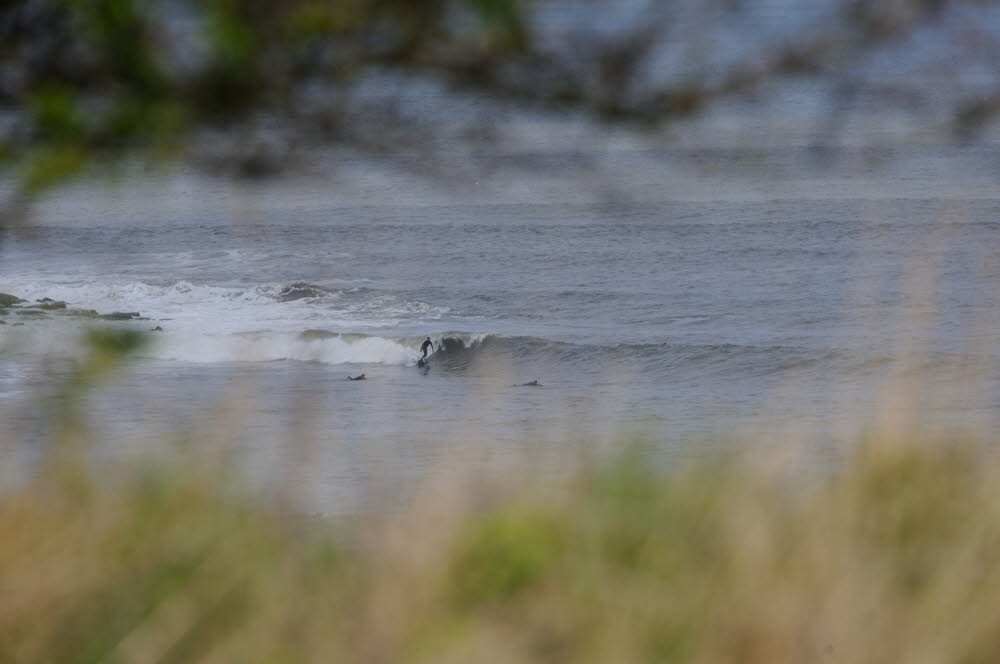 Cayton-Bay-17-0841_18