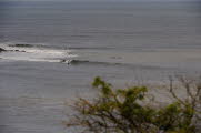 Cayton-Bay-17-0857_30