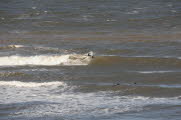 Cayton-Bay-17-1037_30