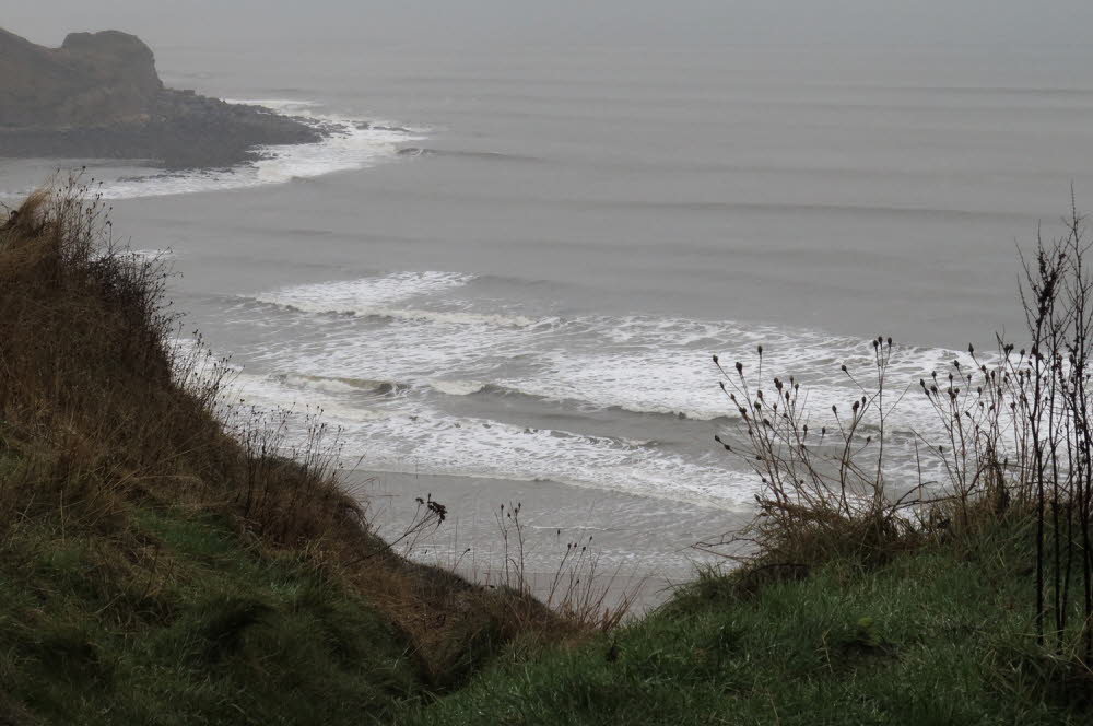 Cayton-Bay-17-2844_13