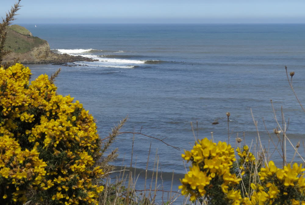 Cayton-Bay-17-7095_1