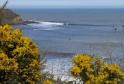 Cayton-Bay-17-7096_12