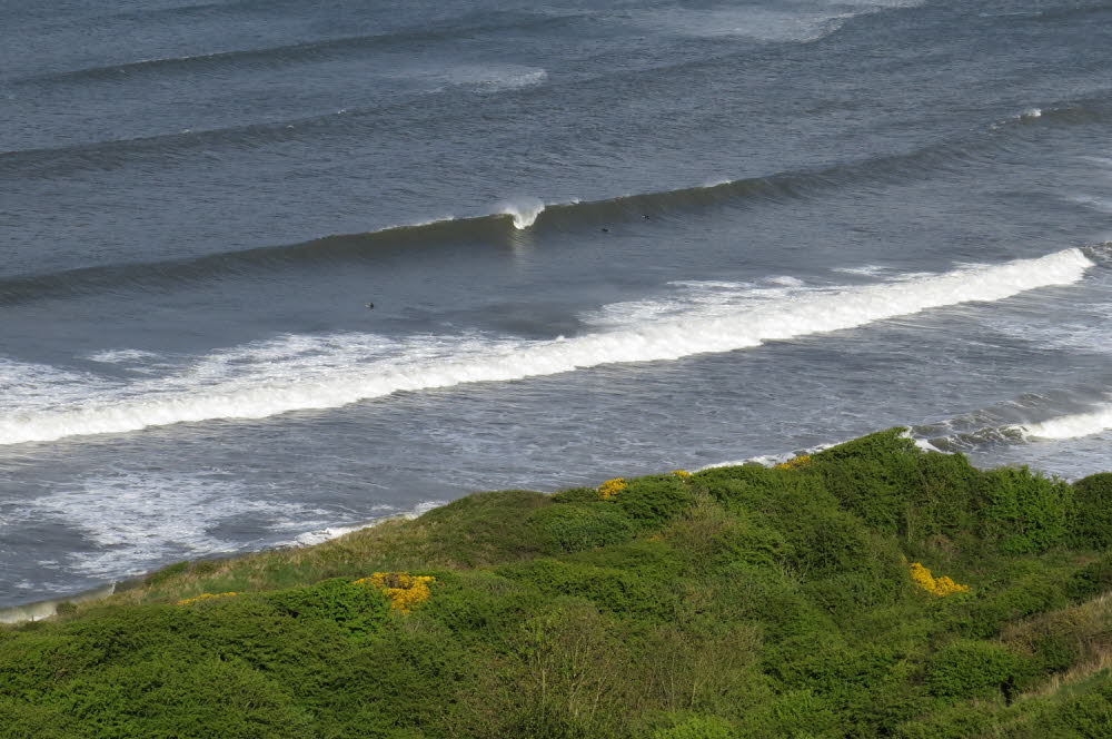 Cayton-Bay-17-7299_9