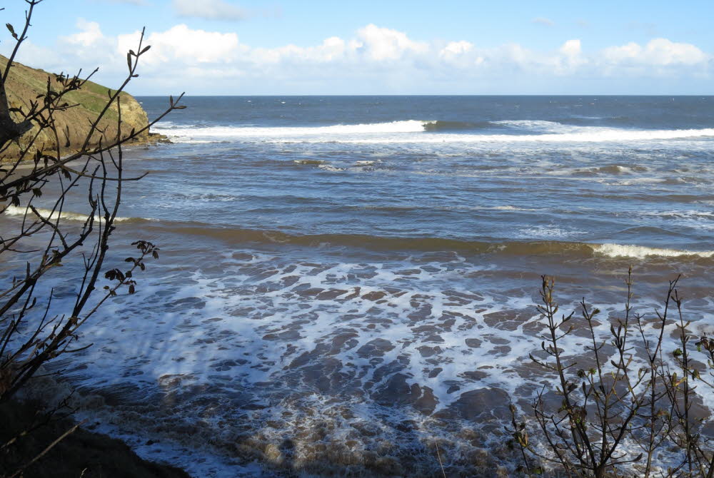 Cayton-Bay-17-7435_48