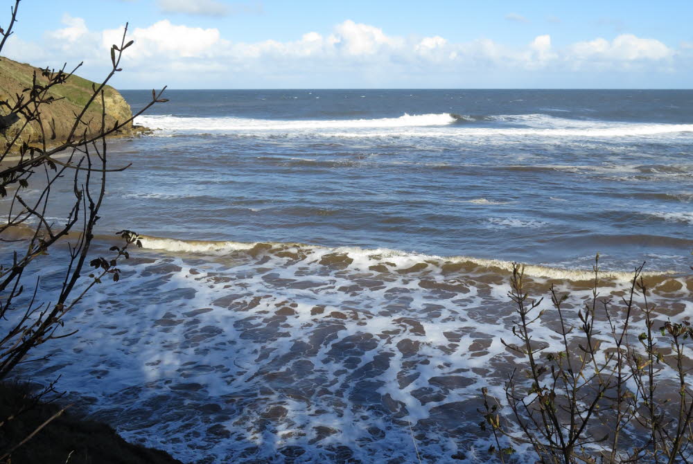 Cayton-Bay-17-7436_49