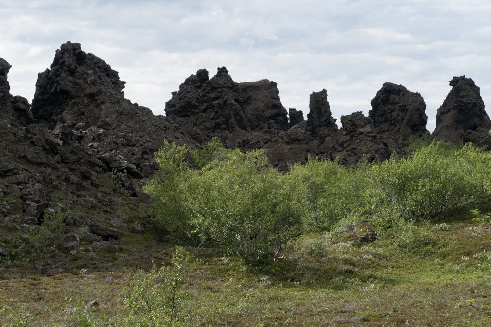 Dimmuborgir-17-1703_12