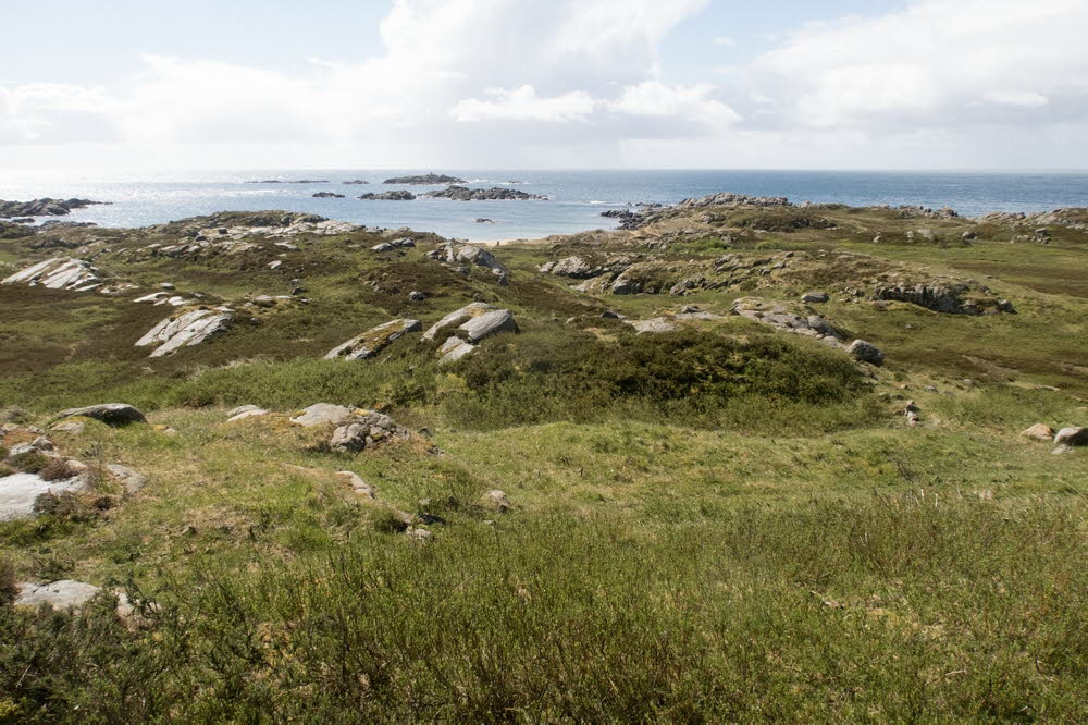 Einarsneset-22-4675_21_10