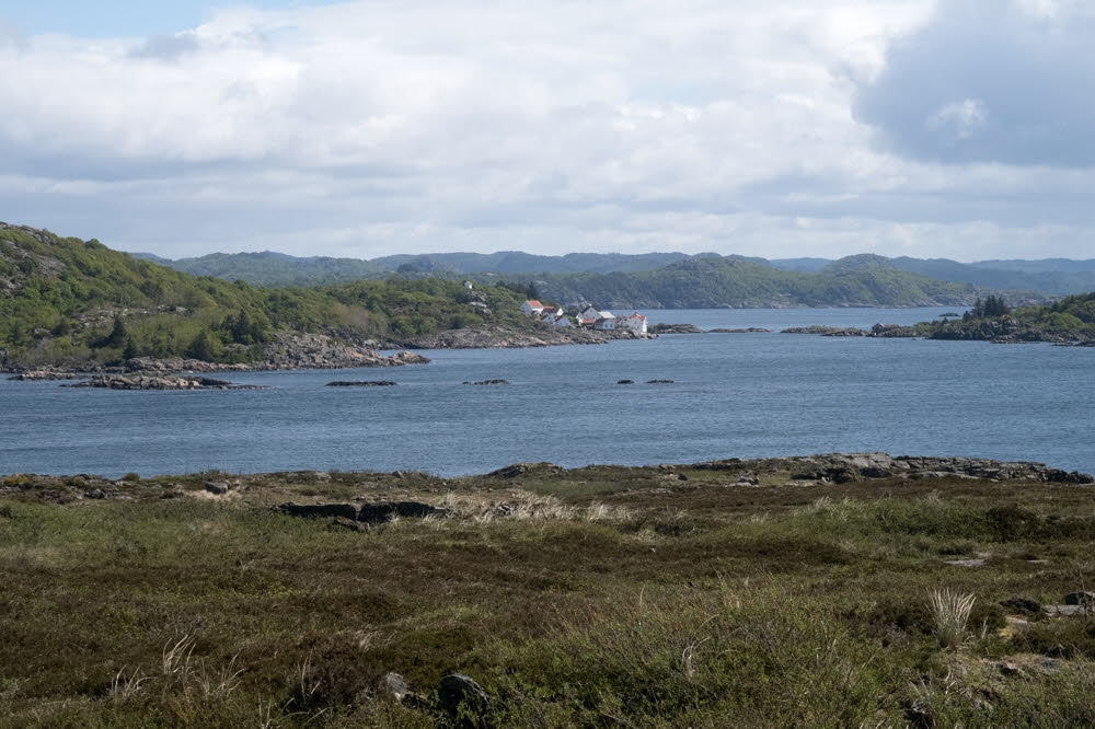 Einarsneset-22-4676_22_11