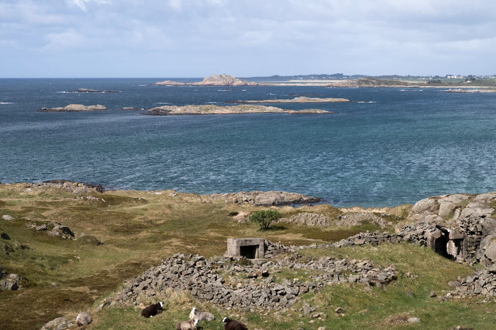 Einarsneset-22-4680_24_13