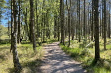 Einarsneset-22-7702_3_19