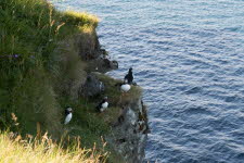 Faroer-17-0505-Gjogv_34