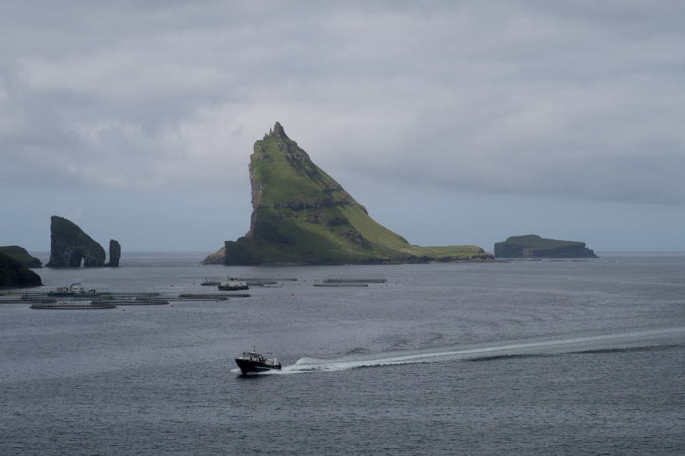 Faroer-17-0573-Bour_2