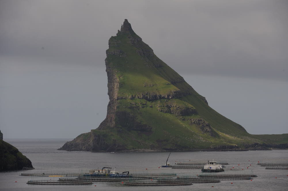 Faroer-17-1057-Bour_4