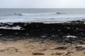 Glass-Beach-14-1120_40