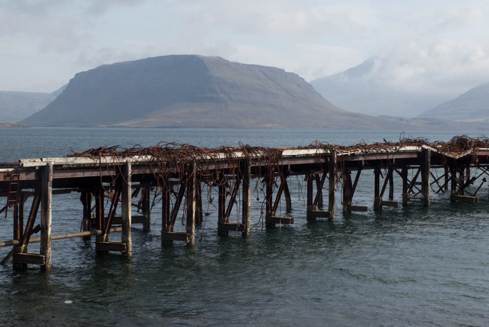 Hvalfjordur-17-1152_7