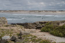La-Torche-20-7012_18
