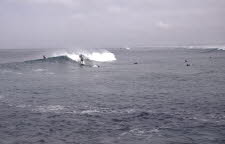 La Torche-96-0002_2