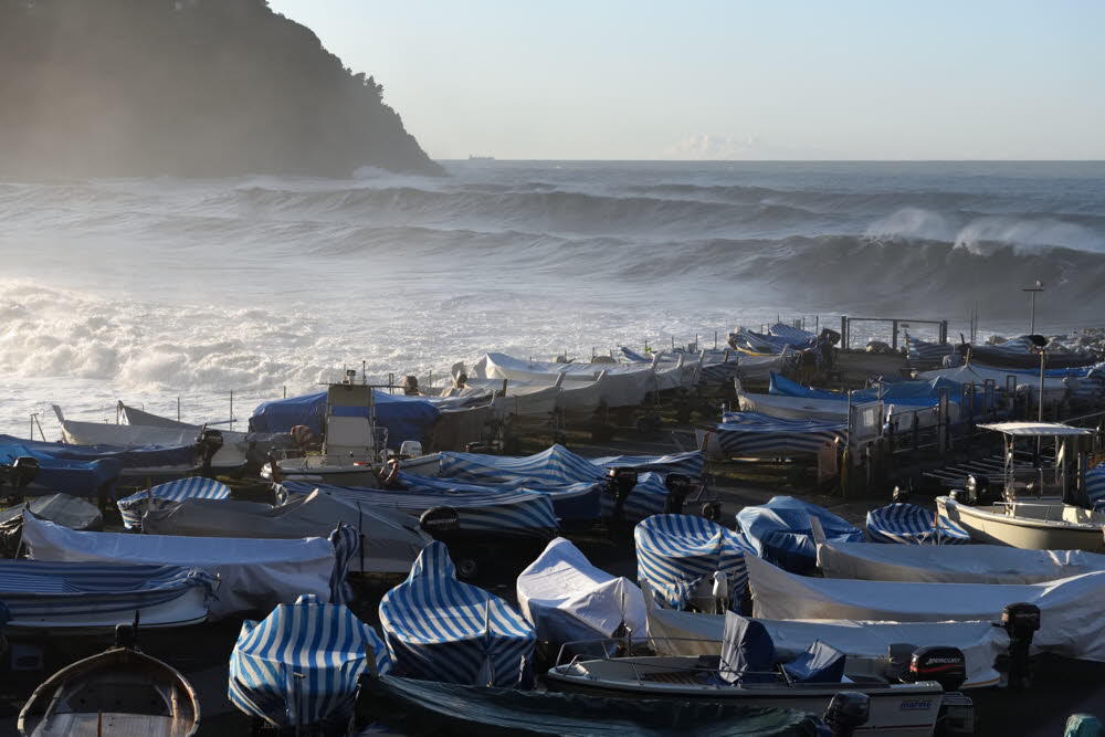 Levanto-2019-12-024