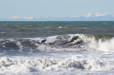 Levanto-2019-12-037