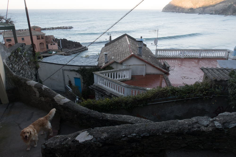 Levanto-2019_001