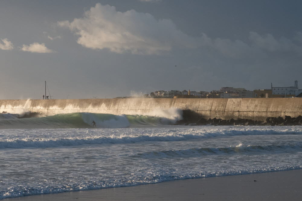 Molho-Leste-18-4170_6