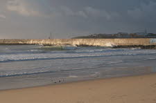 Molho-Leste-18-4171_7