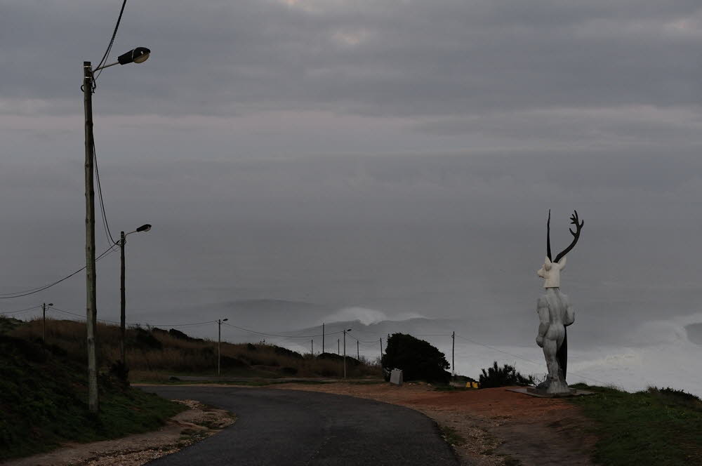 Nazare-18-01-17-004