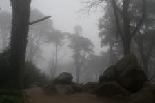 Parque-Pena-18-5467_3