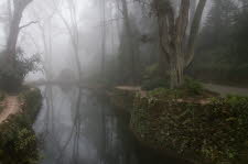 Parque-Pena-18-5551_27