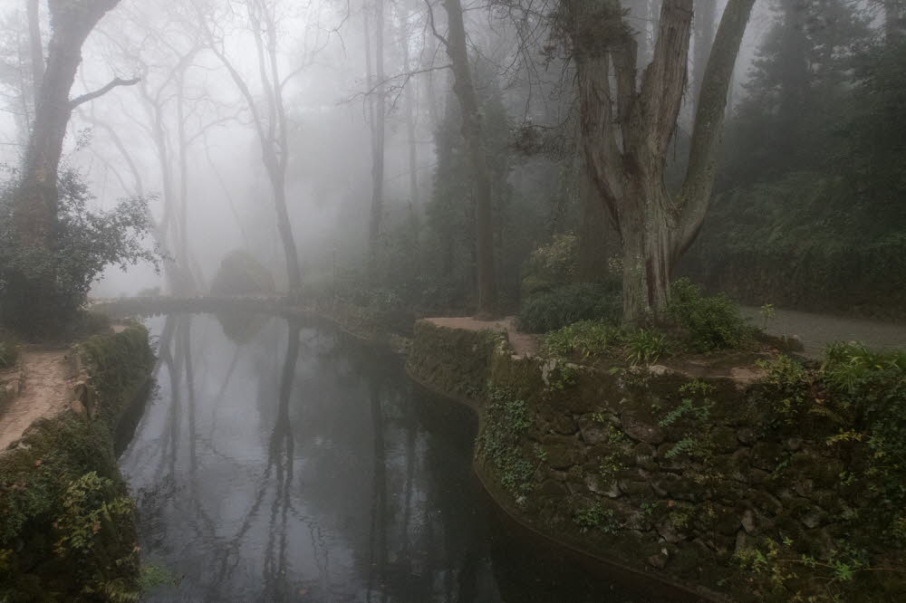 Parque-Pena-18-5551_27