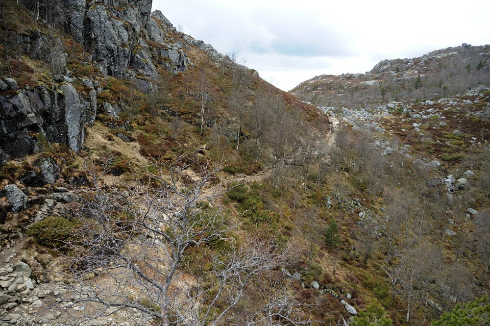 Preikestolen-10-006