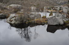 Preikestolen-10-036