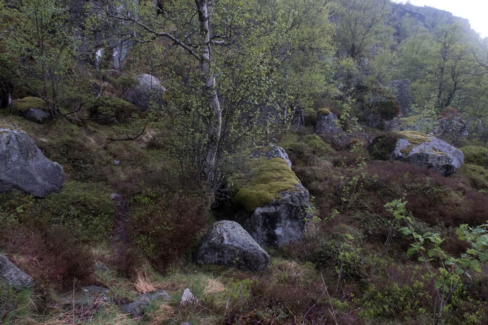 Preikestolen-22-035