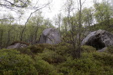 Preikestolen-22-036