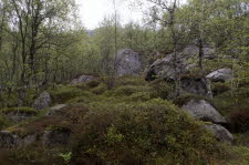 Preikestolen-22-038