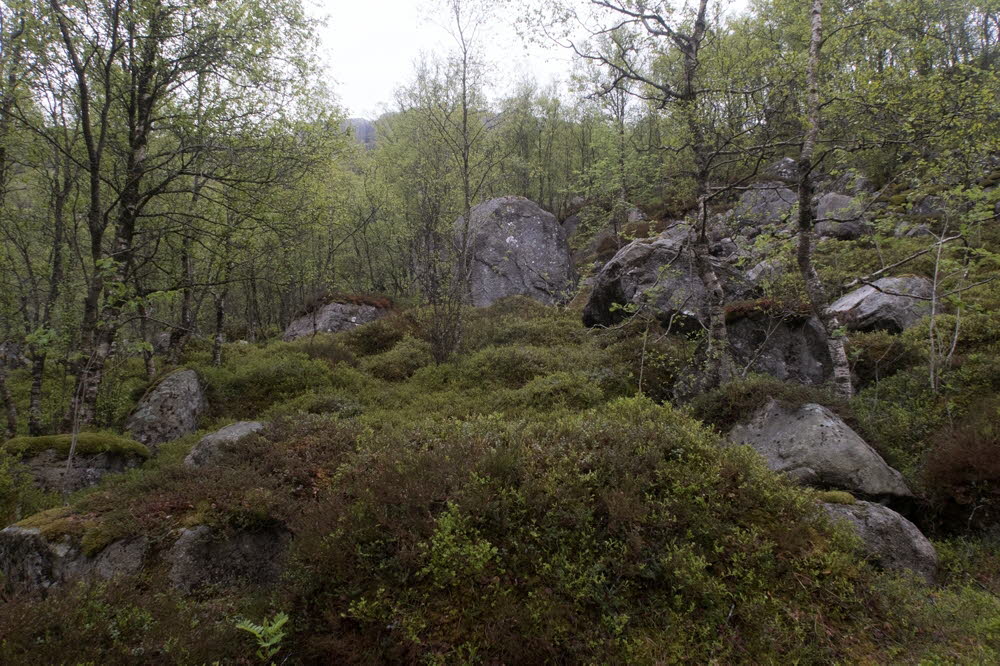 Preikestolen-22-038