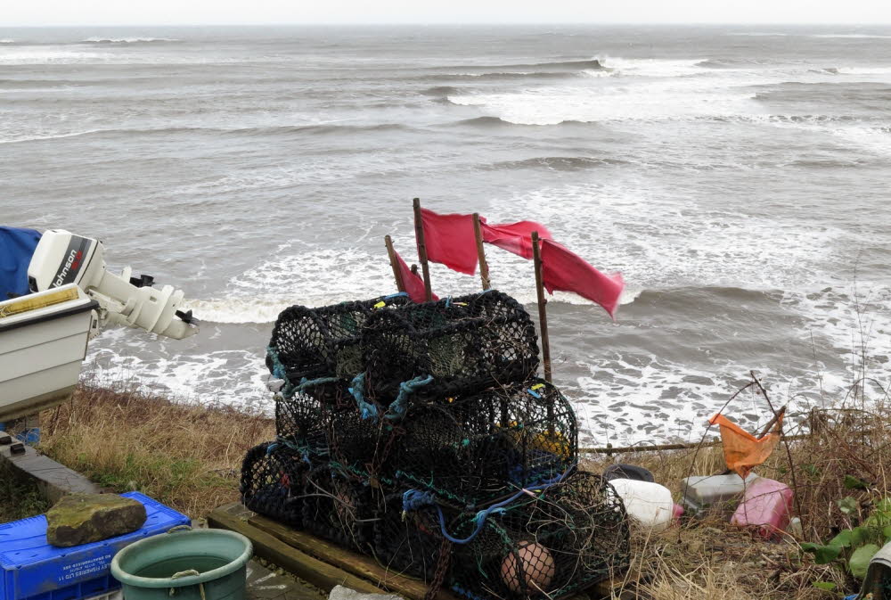 Robin-Hood-Bay-17-2451_1
