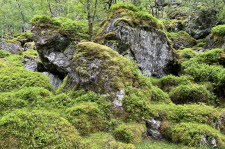 Rossdalen-22-08