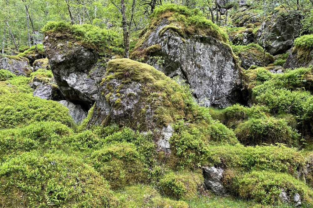 Rossdalen-22-08