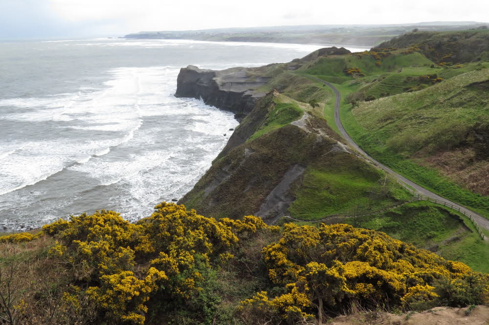 Sandsend-17-7399_2